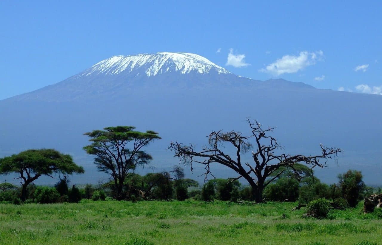 Mount Kilimanjaro rising above acacia woodland, seen from Kenya