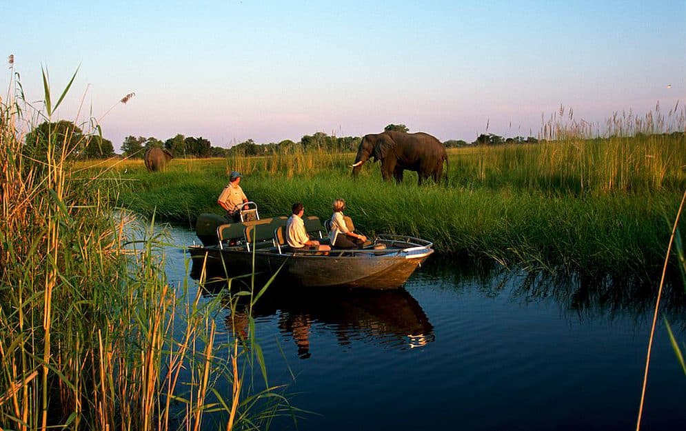 Boat cruise on the Okavango Delta